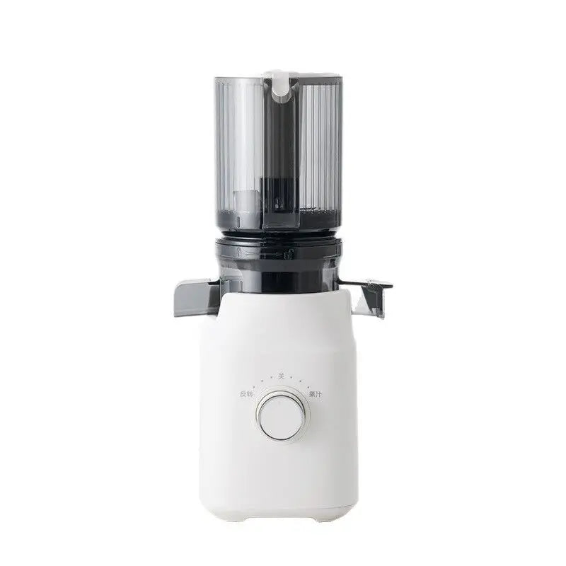 Large Caliber Slow Juicer