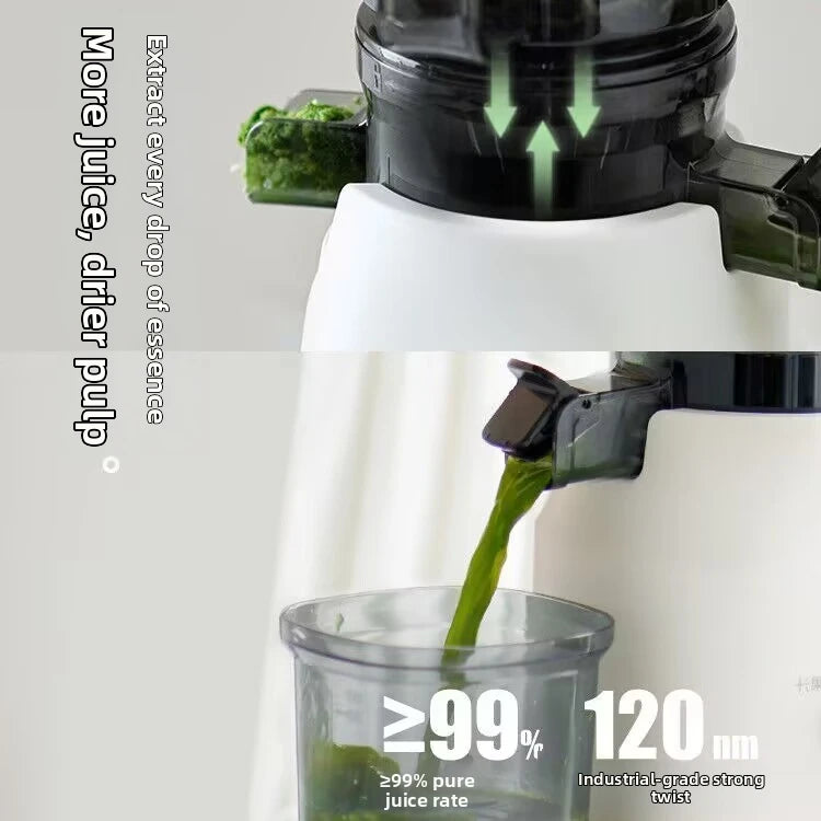 Large Caliber Slow Juicer