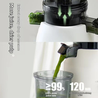 Large Caliber Slow Juicer