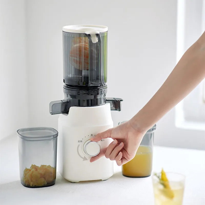 Large Caliber Slow Juicer