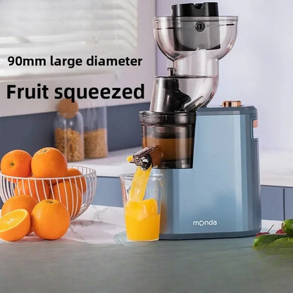 Large Caliber Slow Juicer