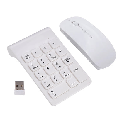 Wireless Numeric Keypad Mouse Set
