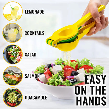 Manual Citrus Juice Press