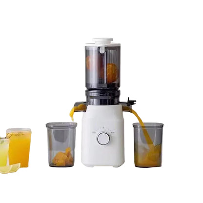 Large Caliber Slow Juicer