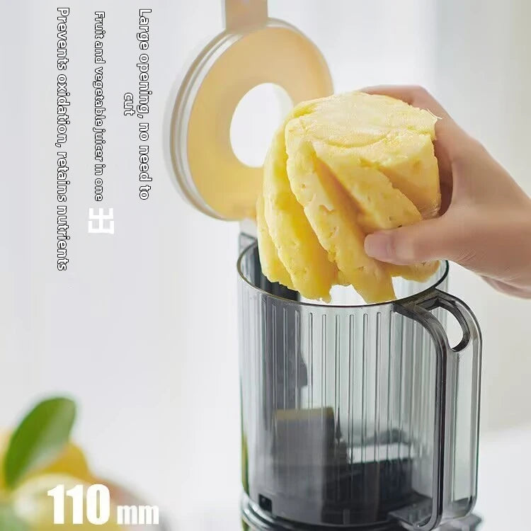 Large Caliber Slow Juicer