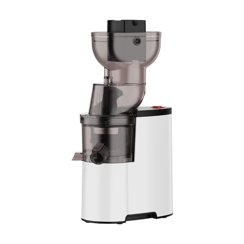 Large Caliber Slow Juicer
