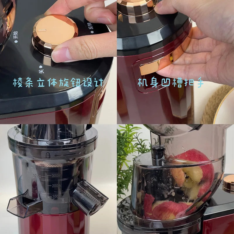 Large Caliber Slow Juicer