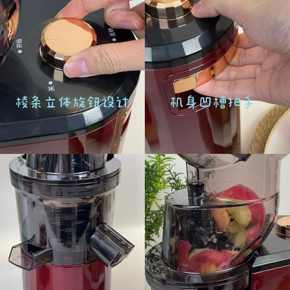 Large Caliber Slow Juicer
