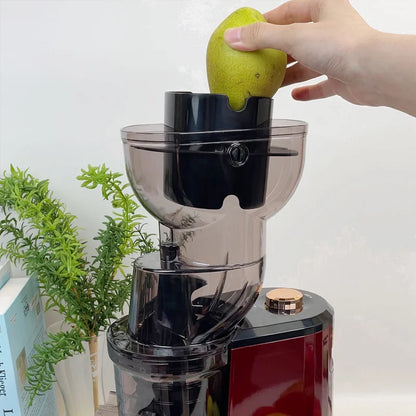 Large Caliber Slow Juicer