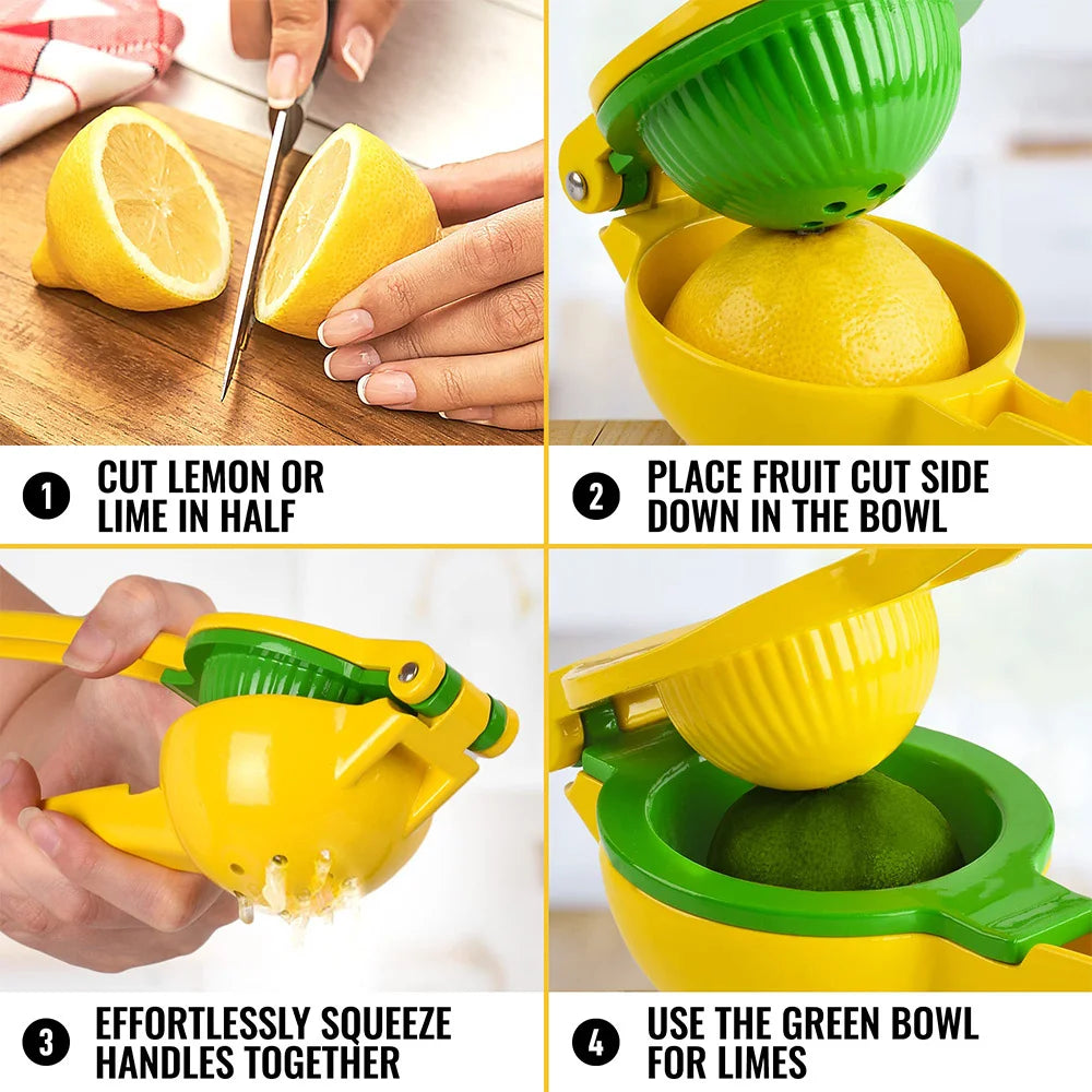 Manual Citrus Juice Press