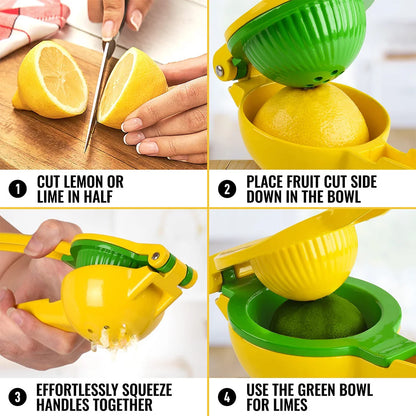 Manual Citrus Juice Press